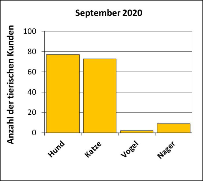 Statistik |September 2020 - Anzahl der tierischen Kunden