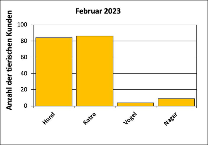 Statistik |Februar 2023 - Anzahl der tierischen Kunden