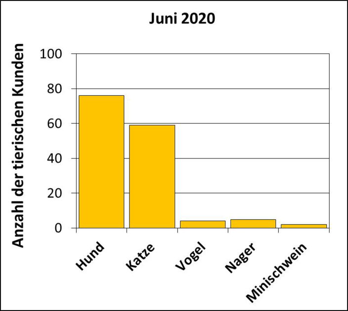 Statistik |Juni 2020 - Anzahl der tierischen Kunden