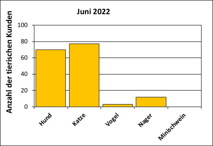 Statistik |Juni 2022 - Anzahl der tierischen Kunden