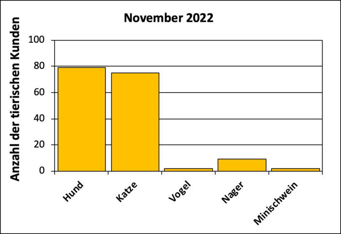 Statistik |November 2022 - Anzahl der tierischen Kunden