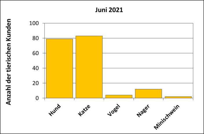 Statistik |Juni 2021 - Anzahl der tierischen Kunden