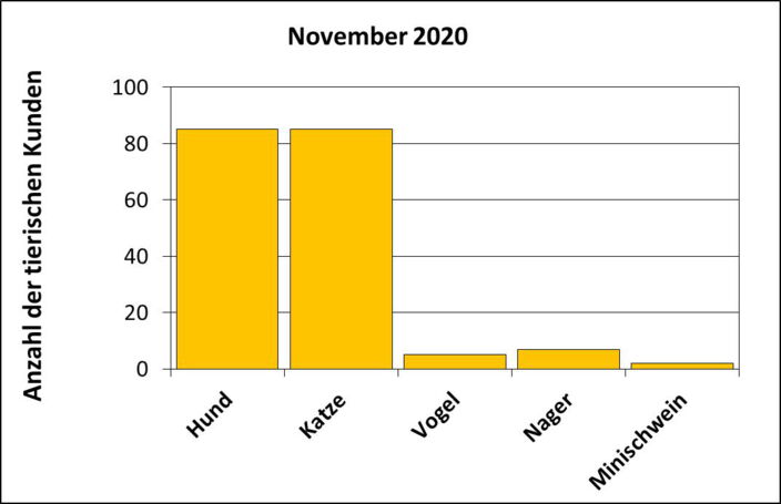 Statistik |November 2020 - Anzahl der tierischen Kunden