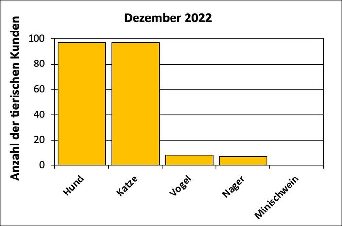 Statistik |Dezember 2022 - Anzahl der tierischen Kunden