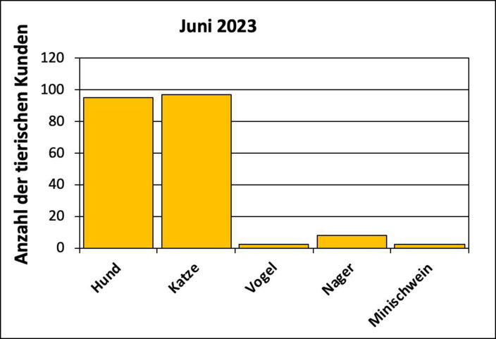 Statistik |Juni 2023 - Anzahl der tierischen Kunden