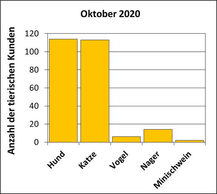 Statistik | Februar 2019 - Anzahl der tierischen Kunden Statistik |Oktober 2020 - Anzahl der tierischen Kunden
