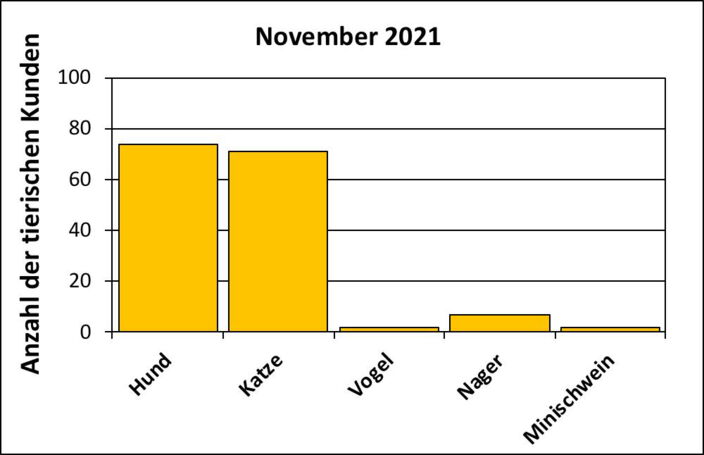Statistik |November 2021 - Anzahl der tierischen Kunden