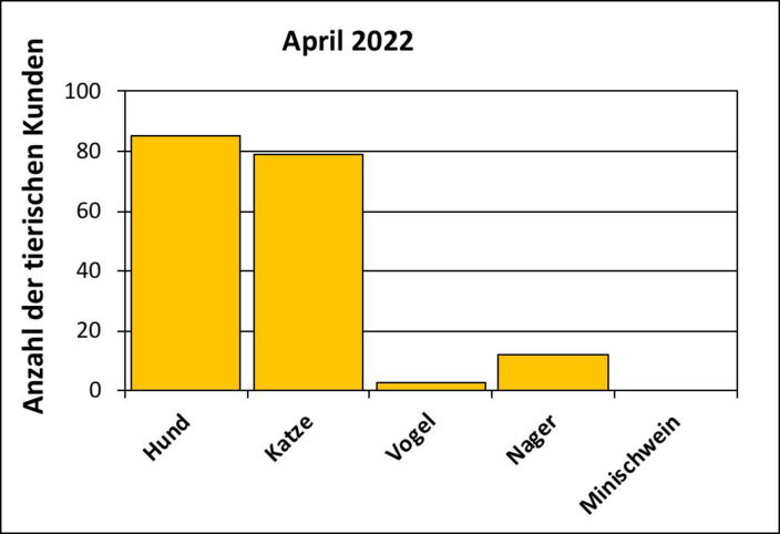 Statistik |April 2022 - Anzahl der tierischen Kunden