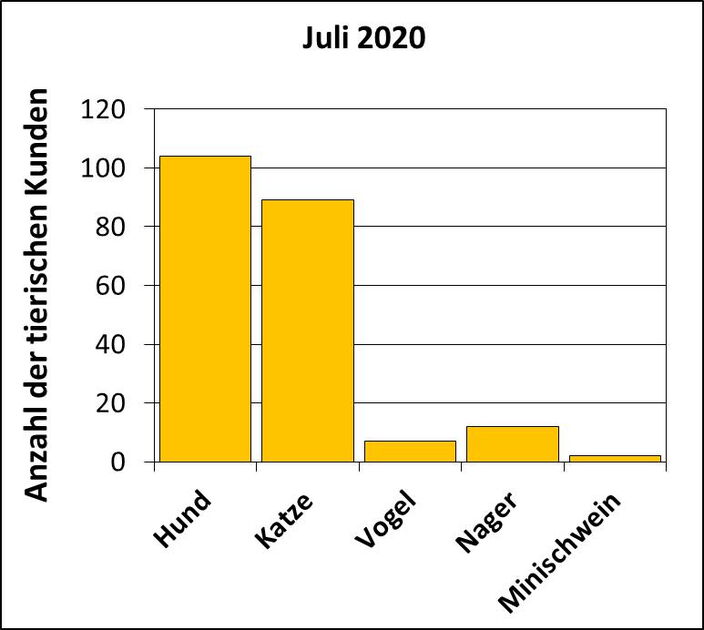 Statistik | Februar 2019 - Anzahl der tierischen Kunden Statistik |Juli 2020 - Anzahl der tierischen Kunden