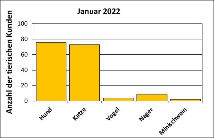 Statistik |Januar 2022 - Anzahl der tierischen Kunden