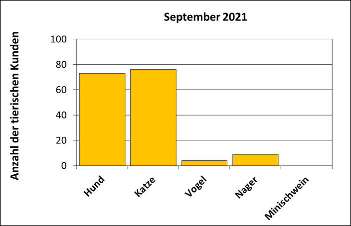 Statistik |September 2021 - Anzahl der tierischen Kunden