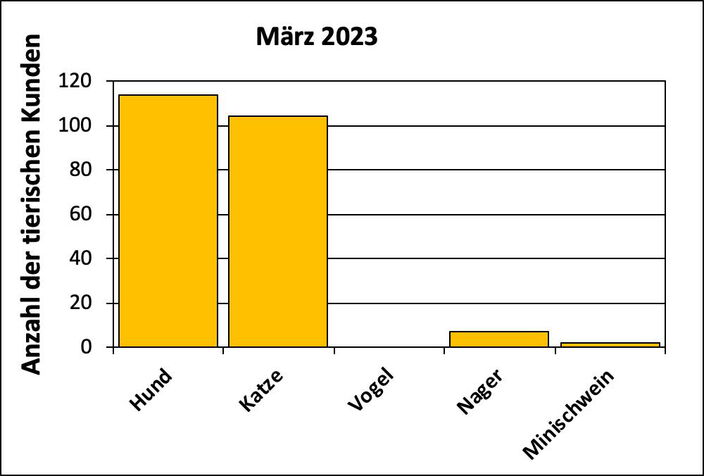 Statistik |März 2023 - Anzahl der tierischen Kunden