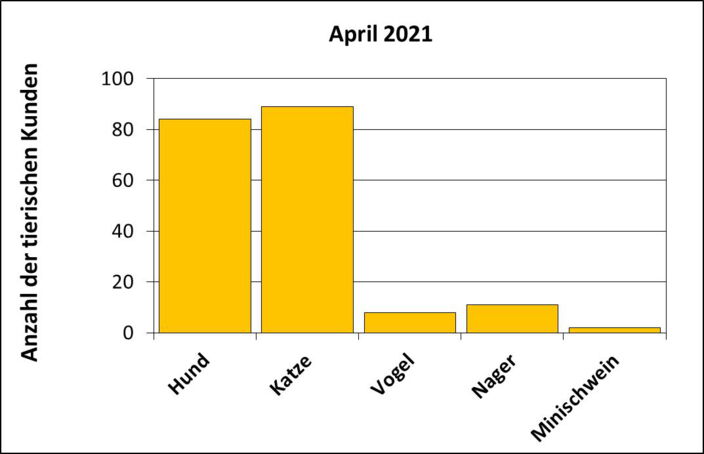 Statistik |April 2021 - Anzahl der tierischen Kunden