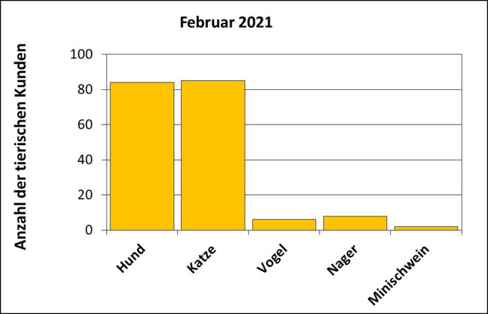 Statistik |Februar 2021 - Anzahl der tierischen Kunden