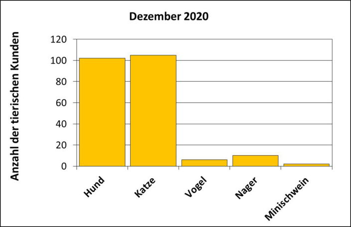 Statistik |Dezember 2020 - Anzahl der tierischen Kunden