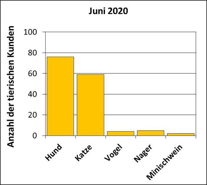 Statistik | Februar 2019 - Anzahl der tierischen Kunden Statistik |Juni 2020 - Anzahl der tierischen Kunden