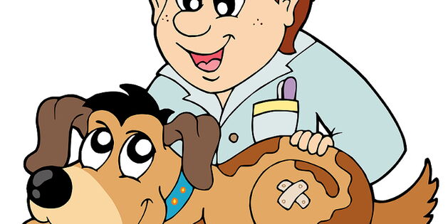 Beim Tierarzt